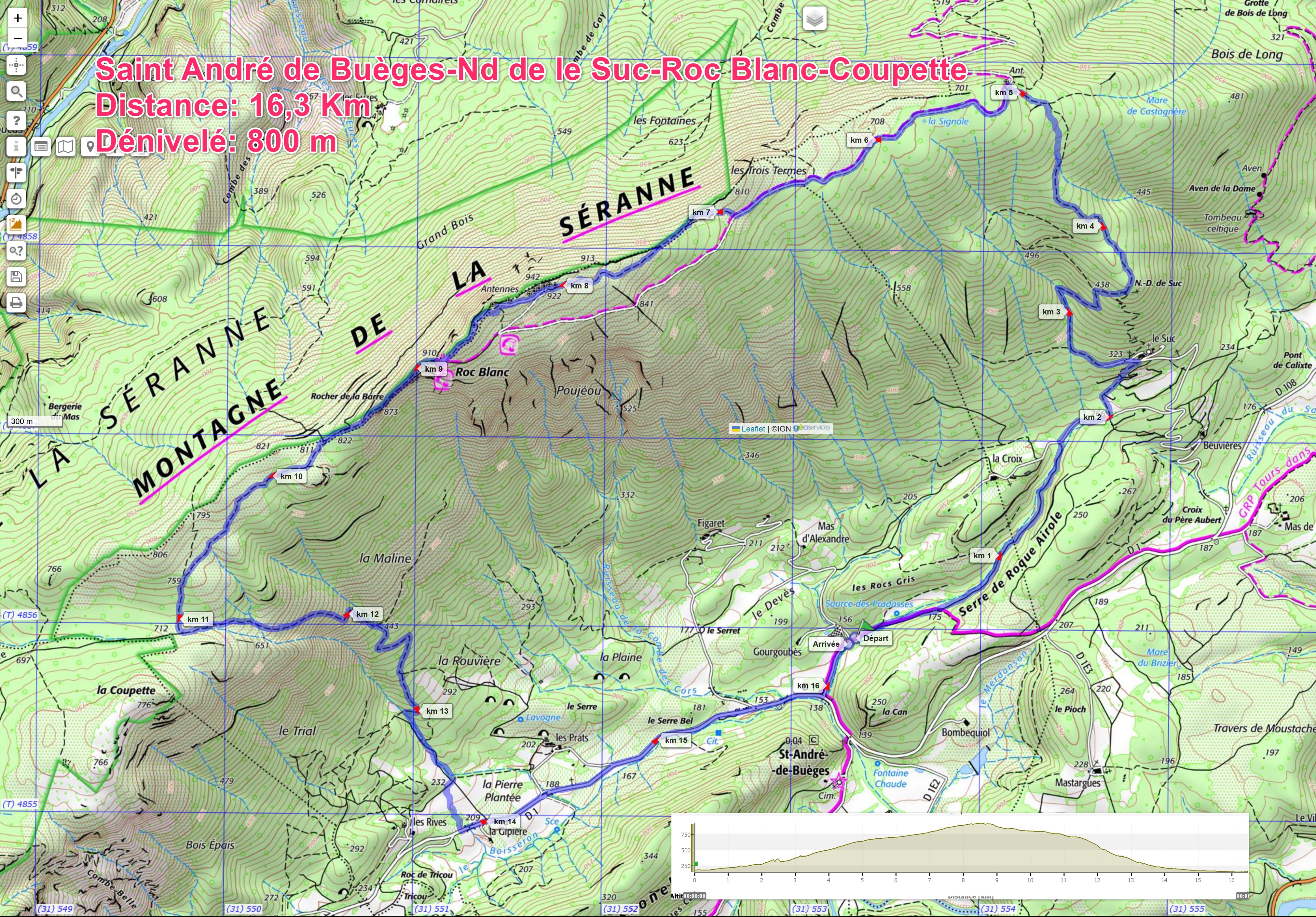 Saint André de Buèges-Nd de le Suc-Roc Blanc-Coupette
