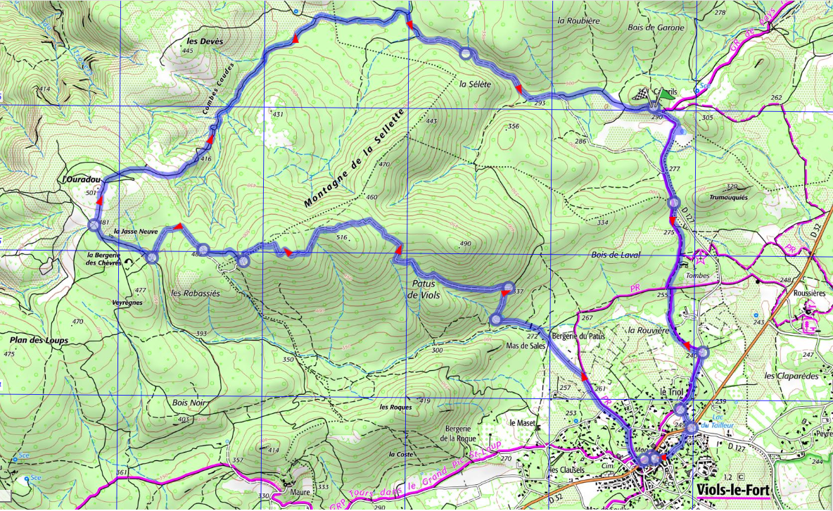 Viols Le Fort-Ouradou-Cazaril